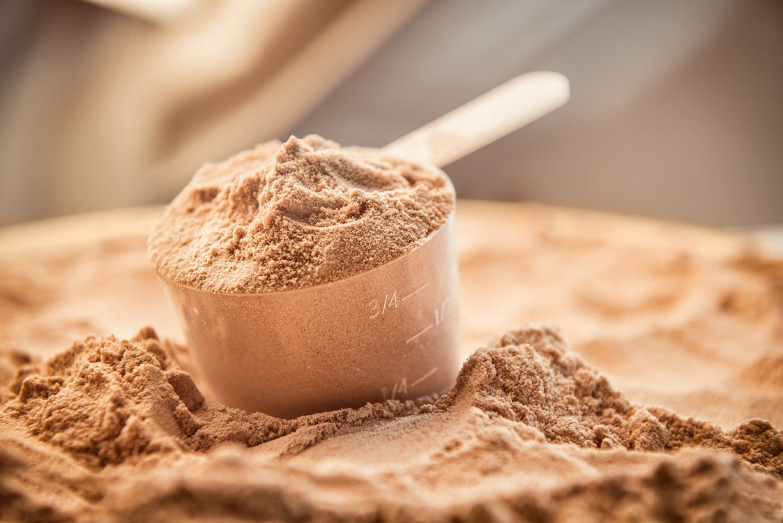 What is Whey Protein and Why is it Important?